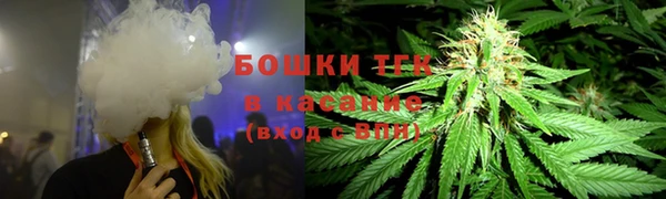 ГАЛЛЮЦИНОГЕННЫЕ ГРИБЫ Медвежьегорск