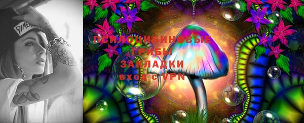 ГАЛЛЮЦИНОГЕННЫЕ ГРИБЫ Медвежьегорск