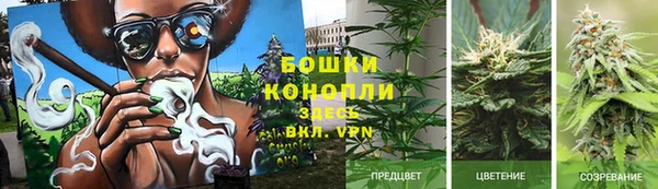 прущие грибы Богородск