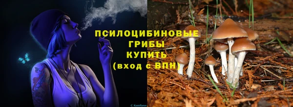 герыч Михайловск