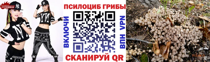 KRAKEN   Шарыпово  мориарти Telegram  цена   Галлюциногенные грибы мицелий 
