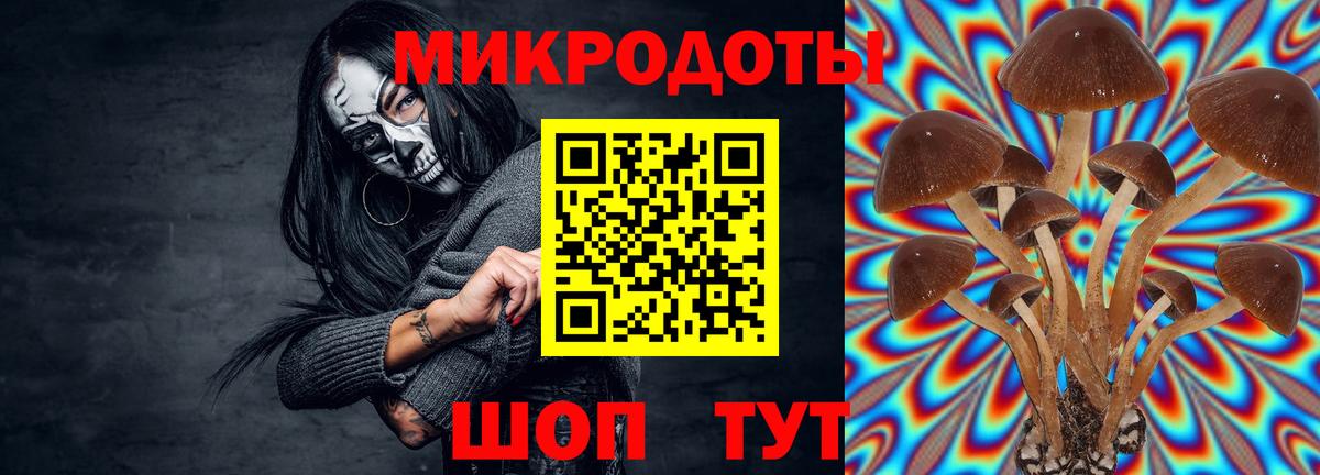 Шарыпово  Псилоцибиновые грибы прущие грибы  Вход с VPN  Псилоцибиновые грибы прущие грибы 