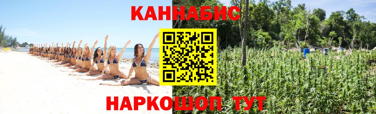 Марихуана план Шарыпово